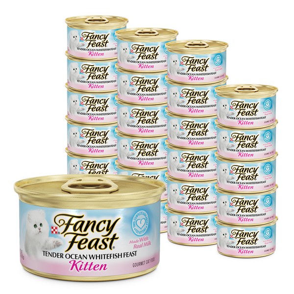 팬시피스트 키튼 고양이 텐더, 흰살생선, 85g, 24개
