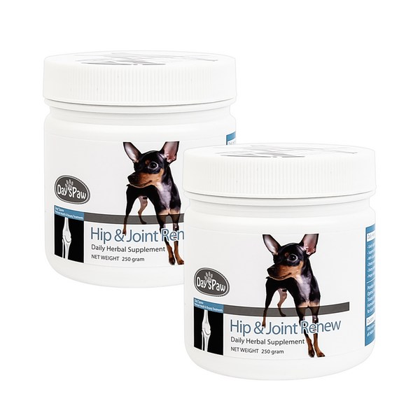 데이스포 강아지 H시리즈 영양제, 250g, 뼈/관절강화, 2개