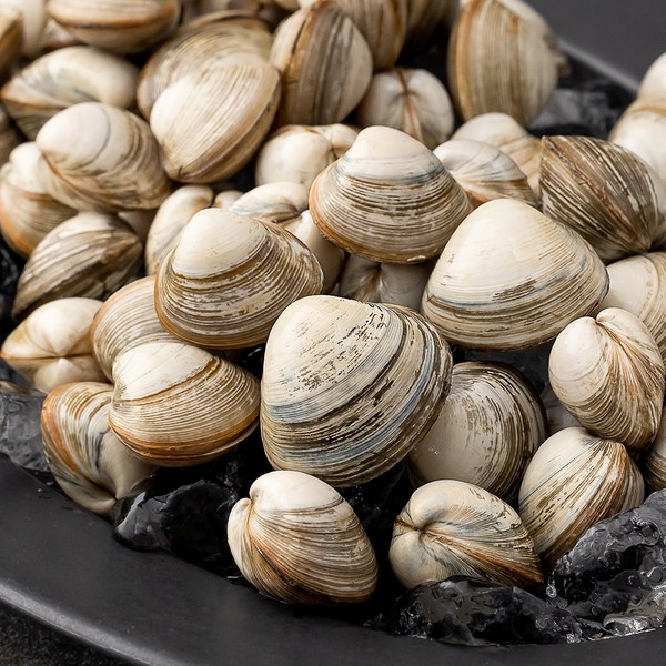바다림 서해안 산지직송 생물 갯벌 동죽조개 (냉장), 1.5kg, 1개