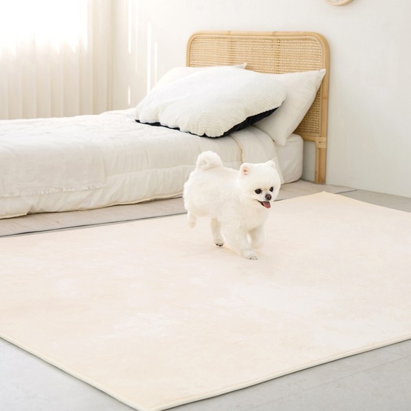 레토 단모 소프트 사계절 거실 카페트