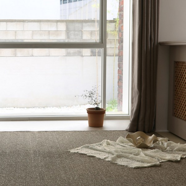 블렌디드 사이잘룩 카페트