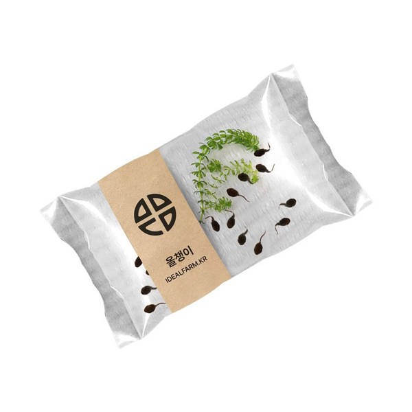 올챙이 토종 한살이 개구리 관찰용, 상세페이지 참조, 상세페이지 참조