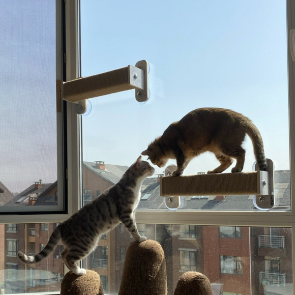  헤라우스점핑 고양이 일광욕 창문 캣타워 투명 해먹 캣워크 캣워커 캣폴, 창문 캣폴 대형, 1개 