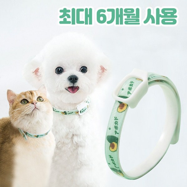 반려동물 진드기 퇴치제 목걸이