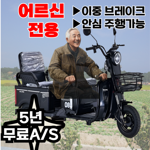 Ezybike 쉬운조작 세발전기자전거 어르신 전동 자토바이 출퇴근 스쿠터, 블랙, 스틸