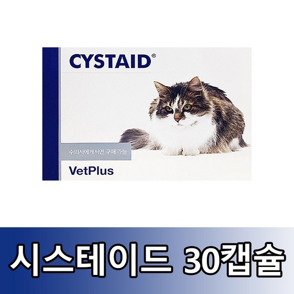  뱃플러스 시스테이드 플러스 고양이 영양보조제, N아세틸D글루코사민, 1개 