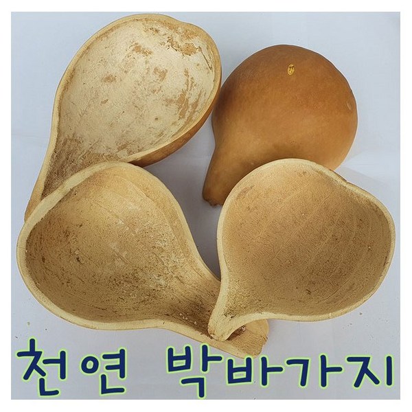 IQPLUS 박바가지, 1개, 박바가지/중