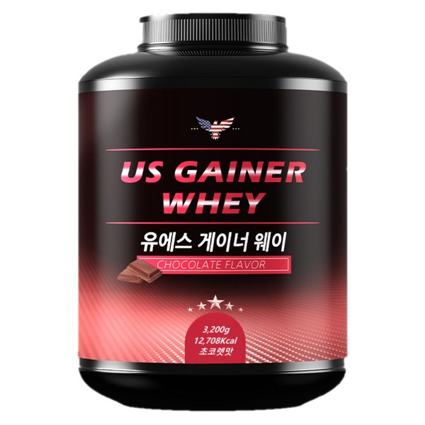 유에스게이너 단백질 고함량 가성비보충제 No.1 벌크업프로틴 게이너, 3.2kg, 1개
