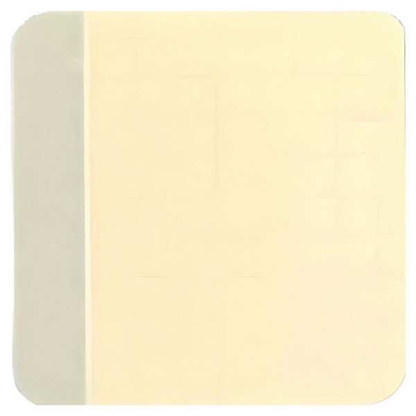 레노덤 더말스킨 하이드로콜로이드 드레싱폼 울트라씬 습윤밴드 10p, 10 x 10 cm, 1개