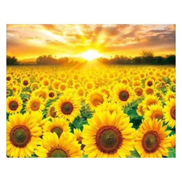 MJS 보석십자수 50 x 40 cm 캔버스형 세트 DIY, F55 - 황금해바..., 1세트