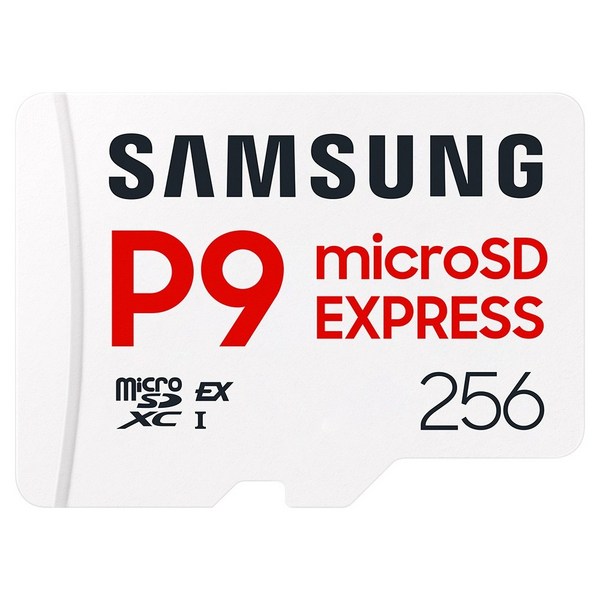 삼성전자 마이크로SD 익스프레스 카드 P9 Express 닌텐도스위치2 +케이스
