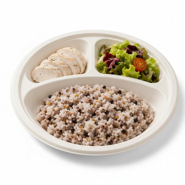 OasisSN 일회용 3칸 종이 식기 사탕수수 찌꺼기로 만든 10인치 원형 종이 접시 (지름 25.4cm x 높이 2.0cm)