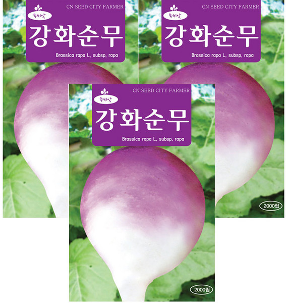 모두다 채소씨앗 강화순무씨앗(2000립), 3개