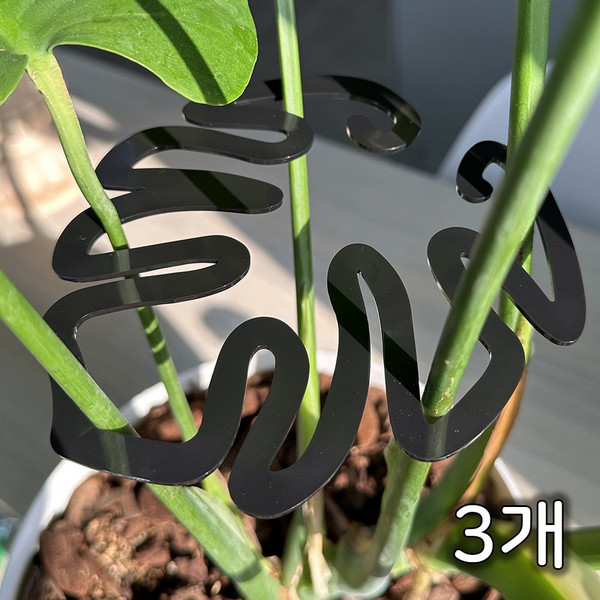 파파가든 몬스테라(블랙) 식물지지대, 3개