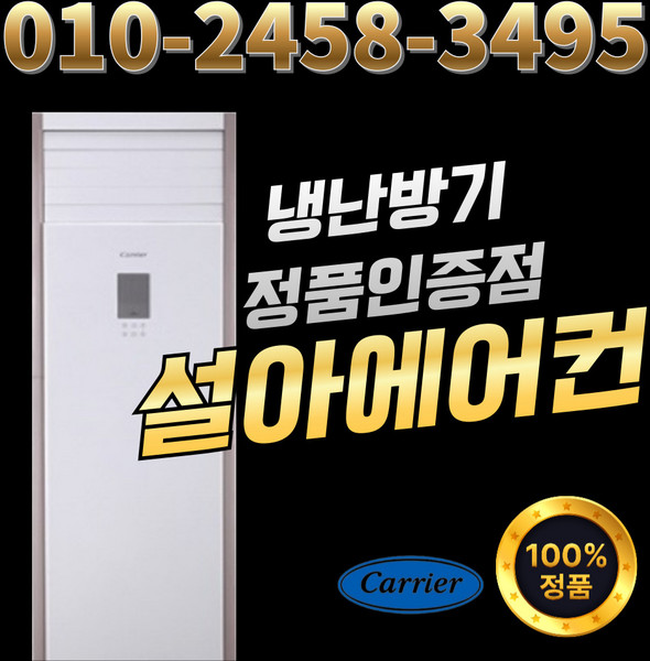 캐리어 스탠드 냉난방기 인버터 냉온풍기 30평 DAMQ-1101EAWSX 실외기포함, 일반배관형