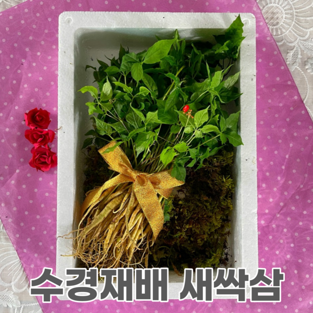 e92fb5fbf4d9344f2fdbca6ae66c321863a61cda76b6eda9e0458caee343.png