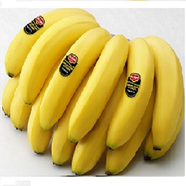7a09645c-c54d-4072-af61-b0e1bb52f485.jpg