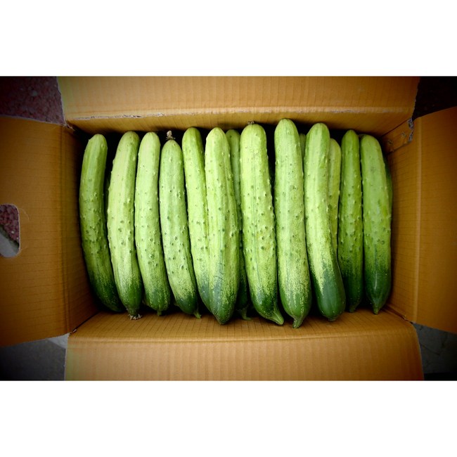 9c4d00c5b5f8cf749aff5fe1586e2446408c0bcc36a98c33ded9c45b99e4.JPG