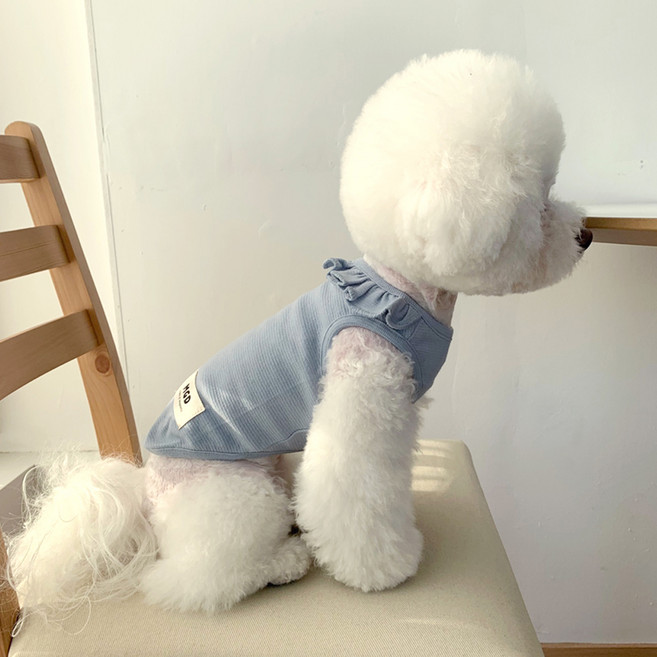 추천7 강아지 옷