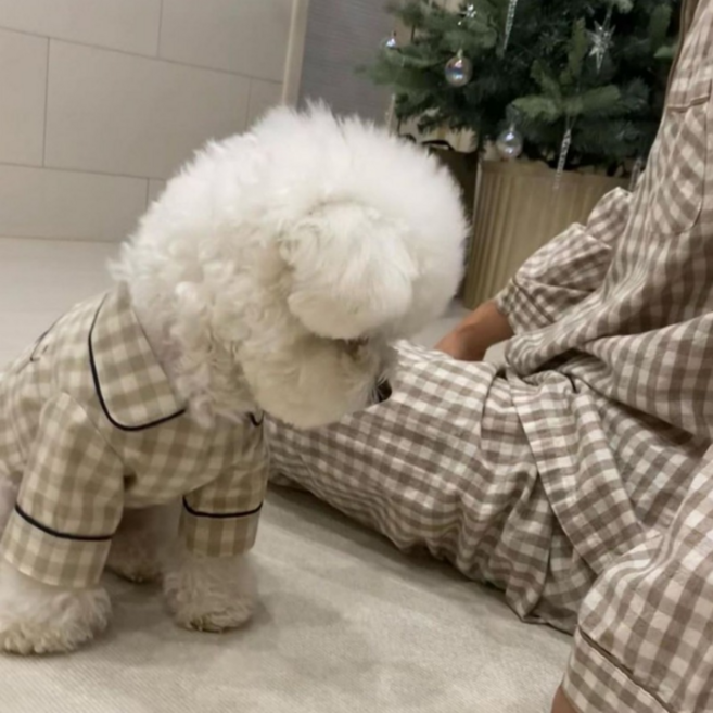 추천8 강아지 옷