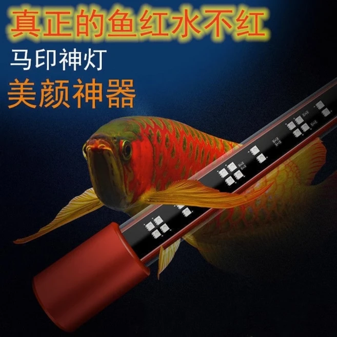 용어 태닝등 PLUS 홍용 혈앵무 디스커스 발색 강화 아로와나 붉은색, 1개