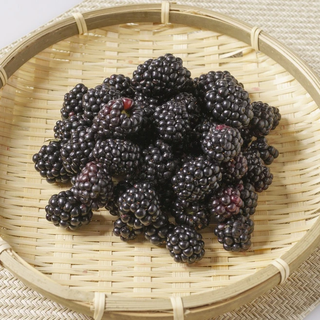 슈퍼복분자 5kg 농장직송 블랙베리과일 햇복분자 생블랙베리, 1개