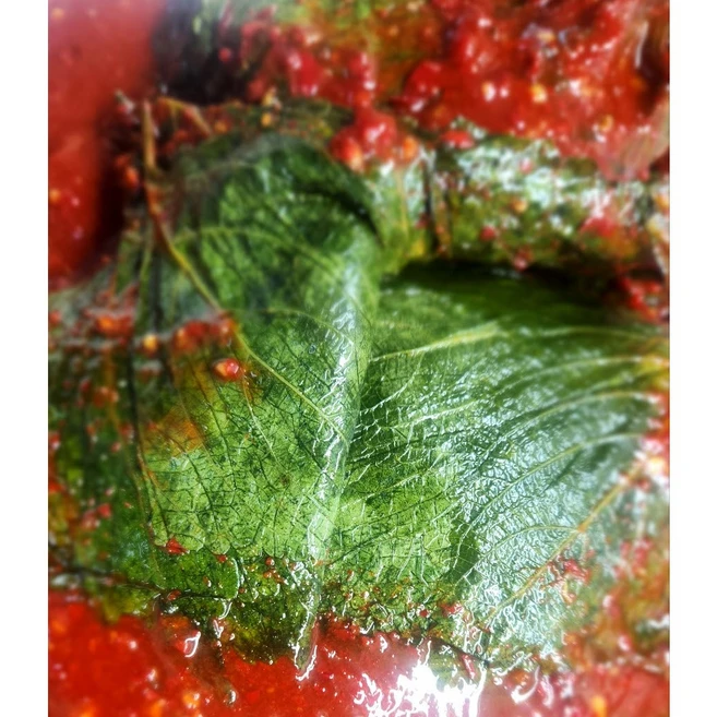 깻잎 향이 진한 양념 생깻잎 무침 햇 깻잎 무침 한정수량, 1kg, 1개