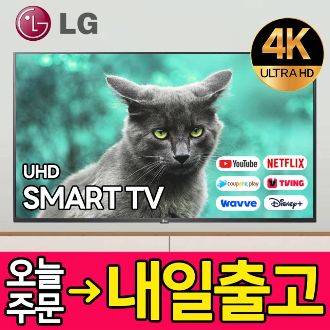 추천10 lg tv 43인치