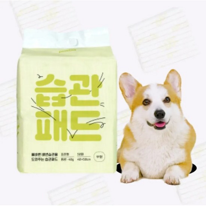 추천10 강아지 훈련 패드