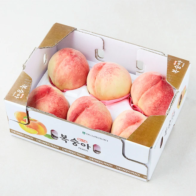 농협 유명산지 당도선별 아삭복숭아, 1.8kg(5~8입), 1박스