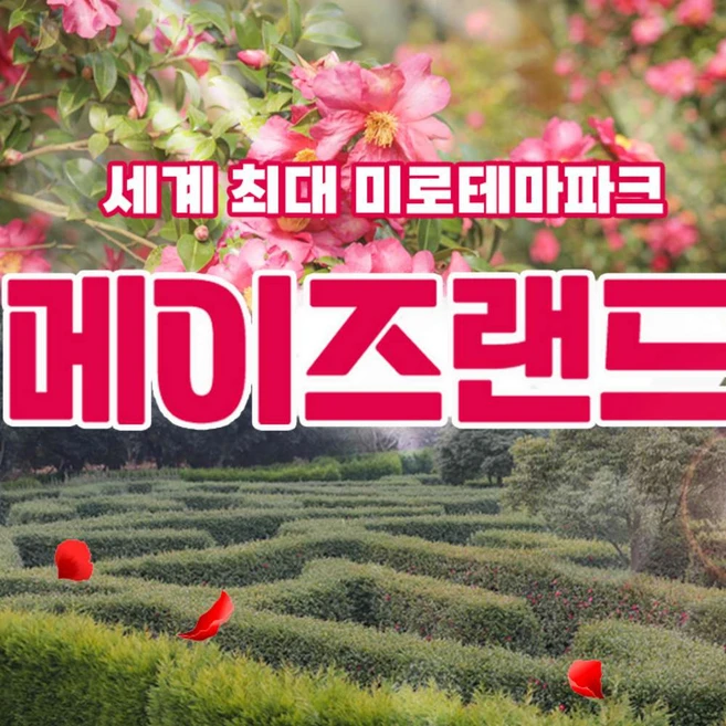 [제주] 메이즈랜드 입장권