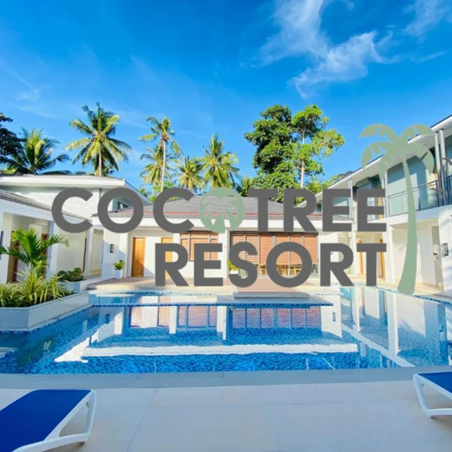 [필리핀/보홀] [인천/부산출발]보홀직항 24년 신규오픈 코코트리 슬림팩 4/5/6일