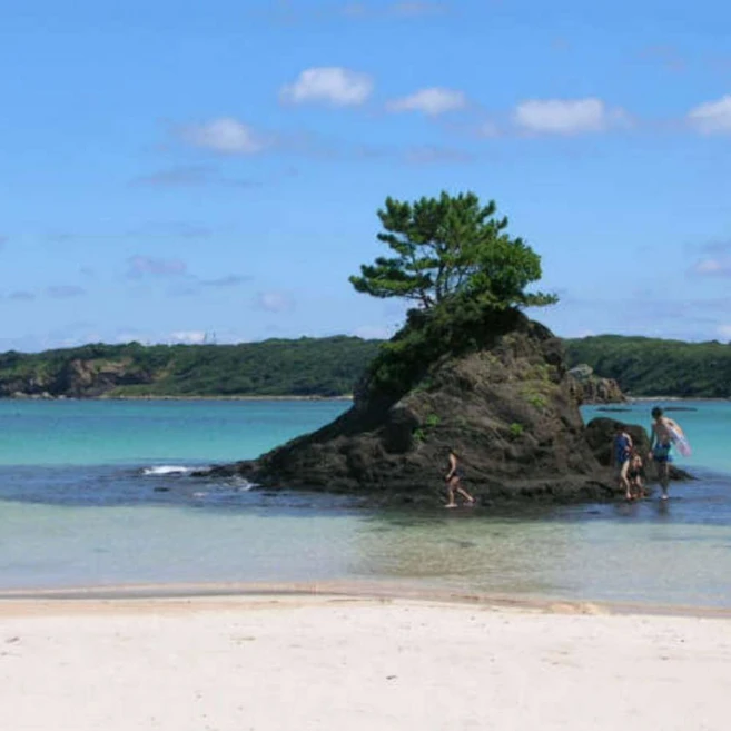 [대마도] [하나투어]부산출발 선박 대마도 2일 #JCP421D0I #씨플라워호 #오전출/리턴