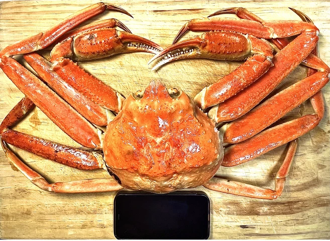 [동해항 당일직송] 90% 이상 수율 특대사이즈 프리미엄 킹크랩 대게, 2kg 이상(2마리), 1개