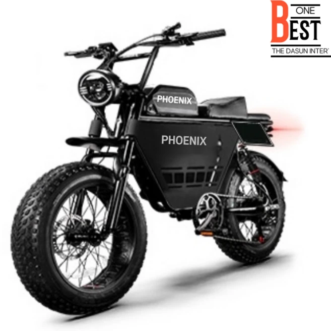 자토바이 전기자전거 레트로 팻바이크 MTB 복고 PHOENIX 출퇴근 자전거, S2*, 13ah x 48v