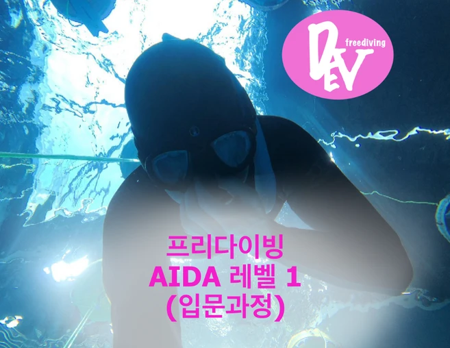 프리다이빙 강습 AIDA 레벨1 교육(입문과정)