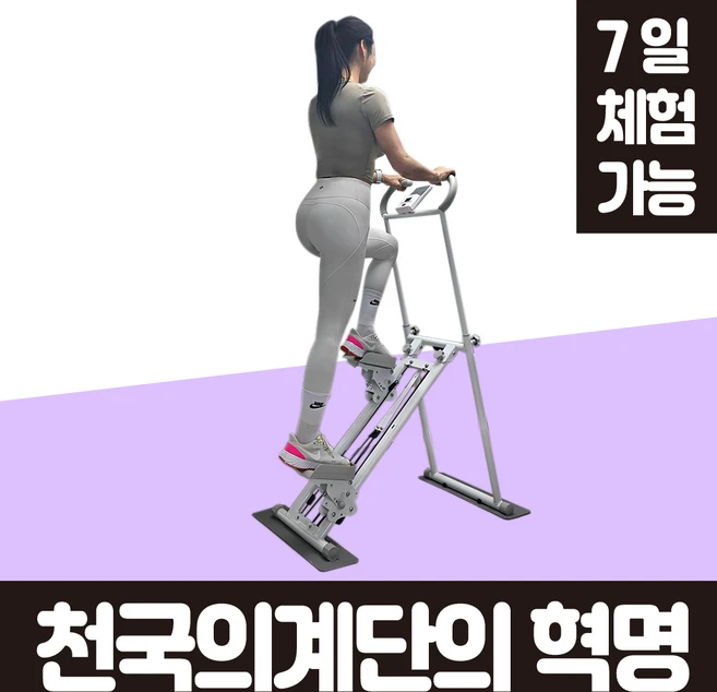 정직한형제들 가정용 천국의계단 운동기구 계단오르기 스텝퍼 스텝밀, 화이트