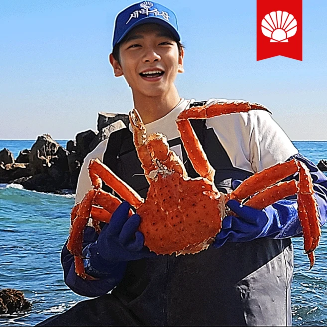 [새벽수산] 동해항 직수입사 특A급 러시아 킹크랩 100% 품질보증 당일발송, 1개, 2kg (1마리)