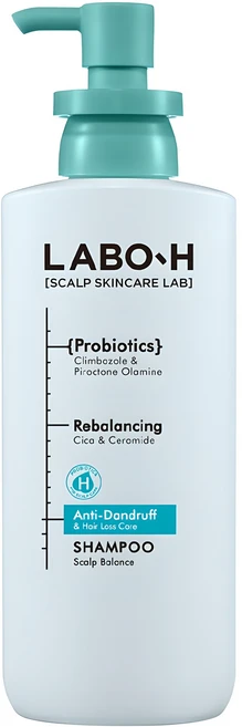 라보에이치 댄드 러프 클리닉 비듬 두피 각질 케어 약산성 샴푸, 1개, 400ml