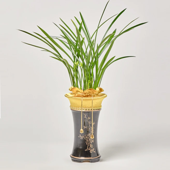 [신호트리] 대표이사 취임 축하선물 고품격 동양란 철골소심 영전화분 전국꽃배달 당일꽃배송 동양난, 1개, 전국당일3시간 꽃배송