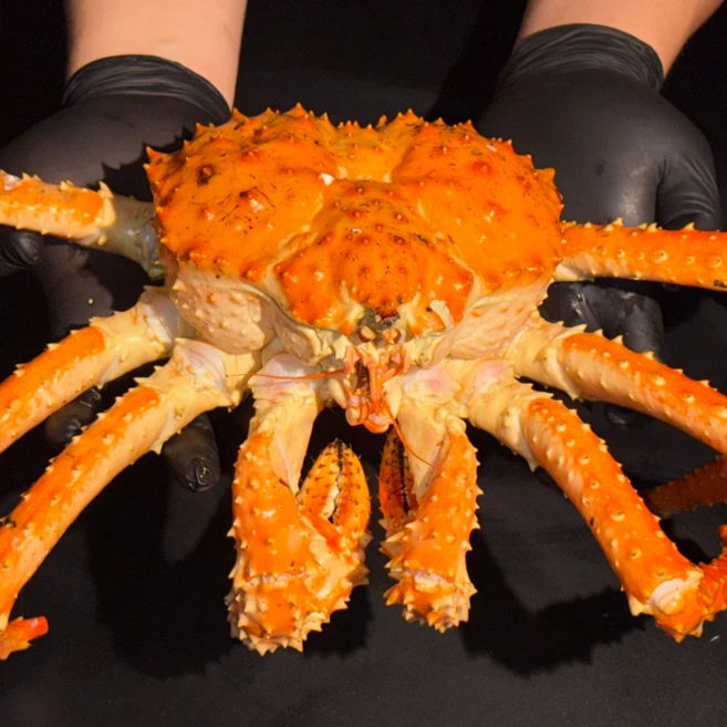 러시아 자숙 킹크랩 수율 90% 이상 러시아킹크랩, 1개, 2.3kg