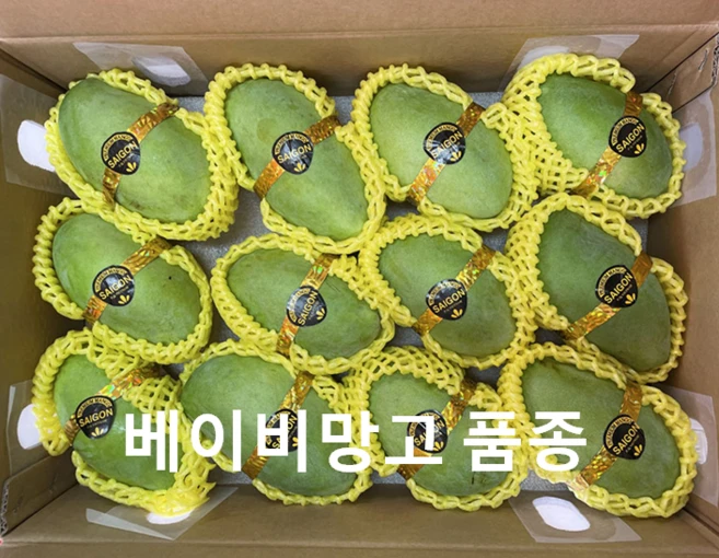 알라딘푸드 베트남 그린망고 께오입고, 1kg(3과), 1개