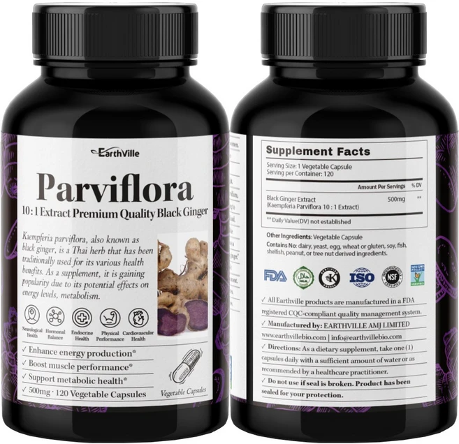 어스빌 파비플로라 흑생강 블랙진저 10배농축 추출물 500mg 베지캡슐, 1개, 120정