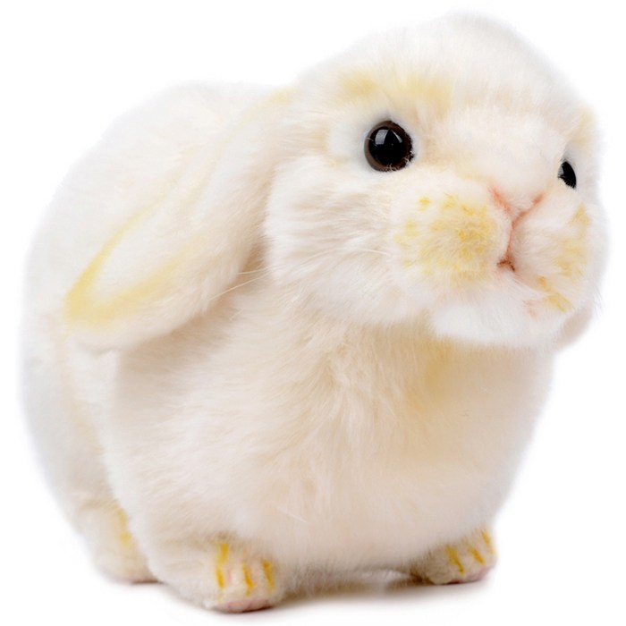 한사토이 동물인형 7024 롭이어 토끼 Lop Ear Bunny, 20cm, 흰색 대표 이미지 - 한사토이 동물인형 추천