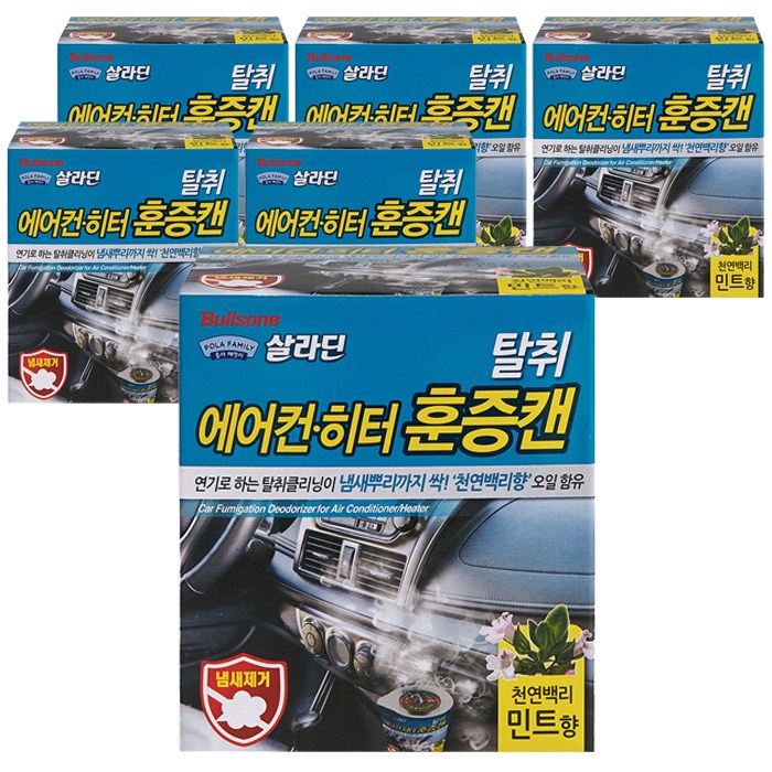 불스원 폴라패밀리 살라딘 에어컨 히터 탈취 훈증캔 민트향 본품, 4.8g, 6개 대표 이미지 - 훈증캔 추천