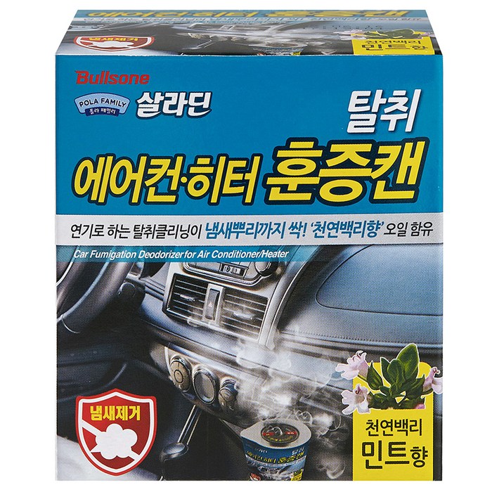 불스원 폴라패밀리 살라딘 에어컨 히터 탈취 훈증캔 민트향 본품, 4.8g, 1개 대표 이미지 - 훈증캔 추천