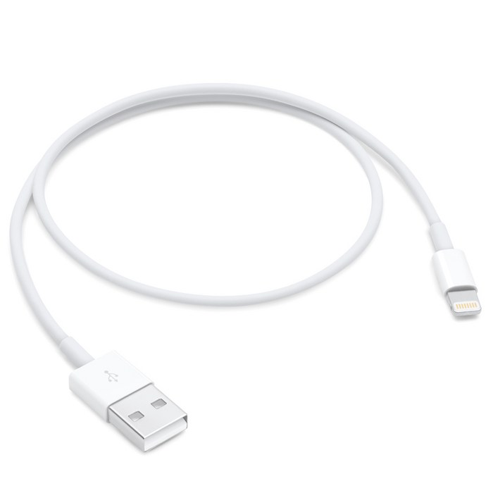 Apple 정품 라이트닝 USB 케이블 0.5m, 1개 대표 이미지 - 애플 정품 케이블 추천
