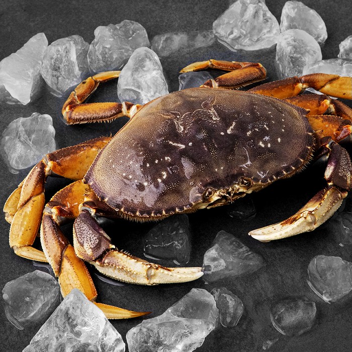 바이킹마켓 미국산 던지네스크랩, 700~800g, 1마리 대표 이미지 - 바이킹마켓 추천