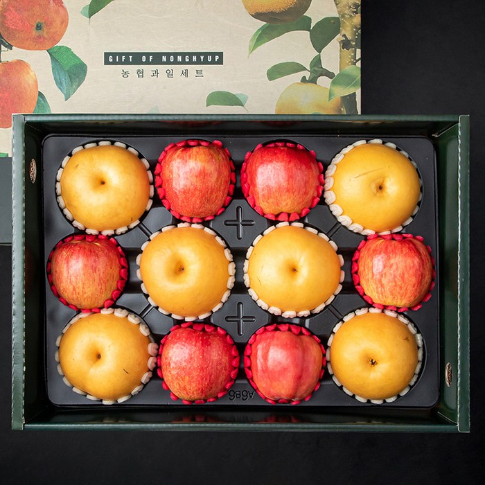 농협 사과배 혼합선물세트 2호 5kg 내외, 1세트 대표 이미지 - 제수용 과일 추천
