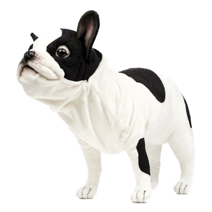 한사토이 동물인형 6601 프렌치 불독 French Bulldog Black&White, 33cm, 흰색 대표 이미지 - 한사토이 동물인형 추천